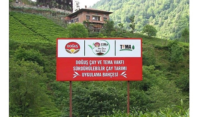 Türkiye’nin en büyük özel kısım çay üreticisi Doğuş Çay ve TEMA