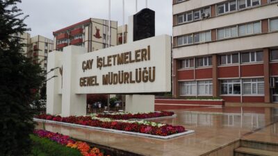 Çay İşletmeleri Genel Müdürlüğü (ÇAYKUR), Rize, Artvin, Trabzon ve Giresun
