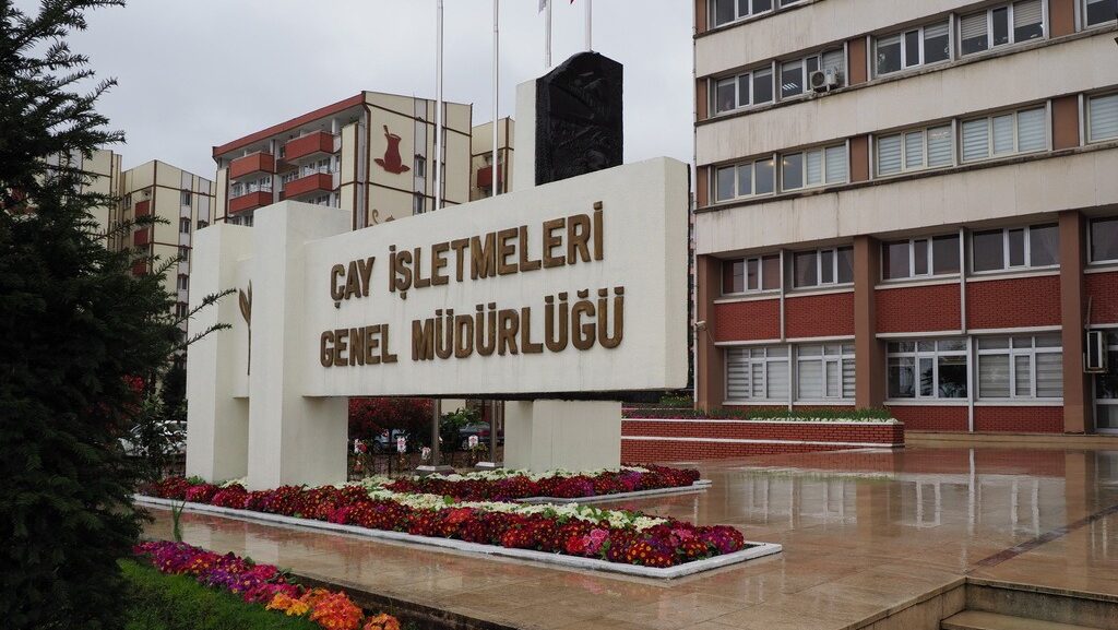 2 4 e1746543999124