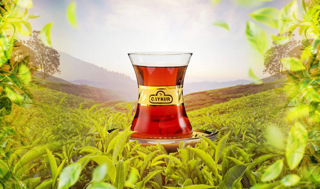 Çay İşletmeleri Genel Müdürlüğü (ÇAYKUR), kuru çay fiyatlarına yüzde 3.5