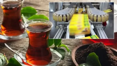 İngiliz çay devi Lipton, Türkiye'deki yaş çay işleme operasyonlarını yerel
