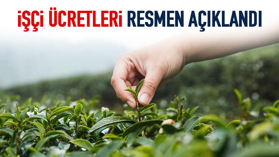 Doğu Karadeniz Bölgesi'ndeki ziraat odalarının ortak değerlendirmesi sonucunda 2026 yılı