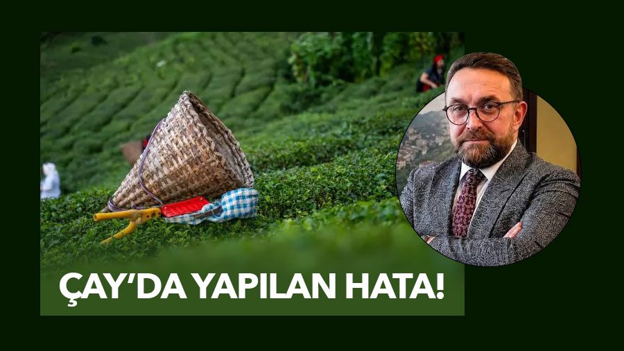 Rize Ticaret Borsası Başkanı Mehmet Erdoğan, birinci sürgün çay alımlarının