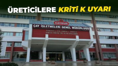 Çay İşletmeleri Genel Müdürlüğü, 2026 yılı birinci sürgün yaş çay