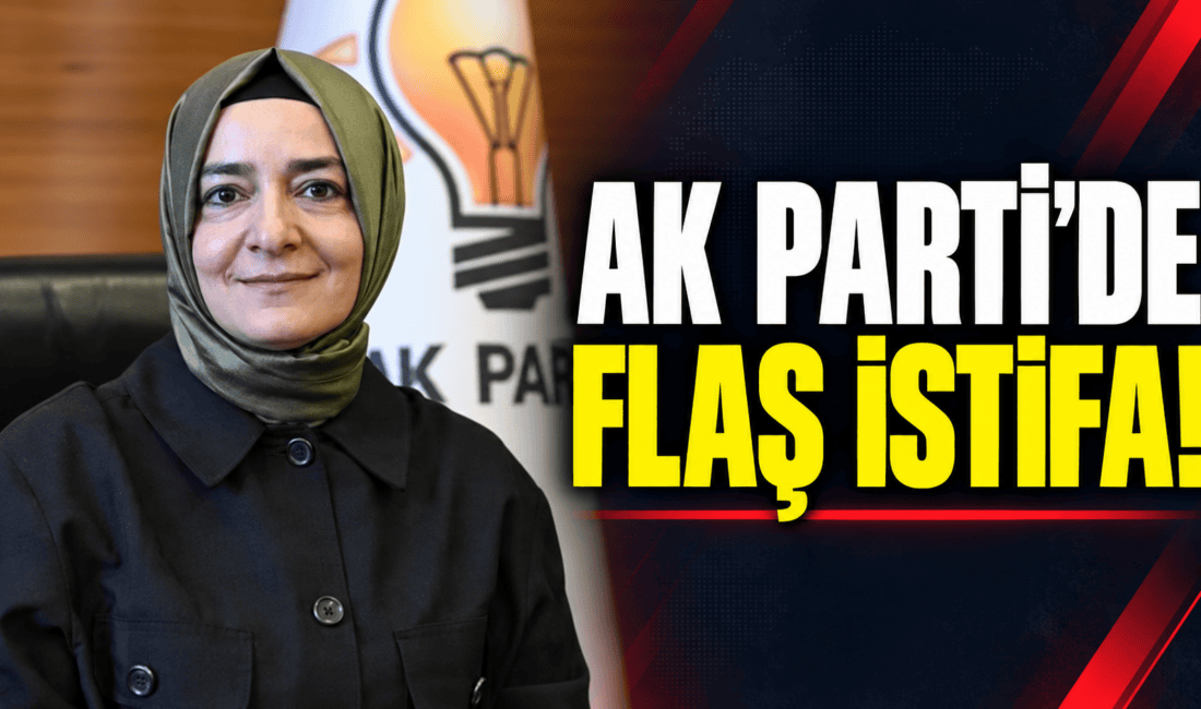 AK Parti Genel Başkan Yardımcısı Fatma Betül Sayan Kaya, fon