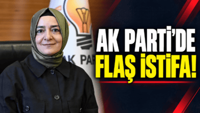 AK Parti Genel Başkan Yardımcısı Fatma Betül Sayan Kaya, fon