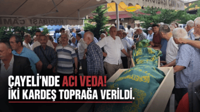 Rize’nin Çayeli ilçesi Yavuzlar köyünde yaklaşık 100 metrelik uçuruma yuvarlanan