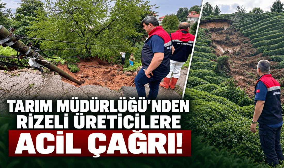 Rize'de şiddetli yağış ve heyelanlardan etkilenen Pazar ve İyidere'de zarar