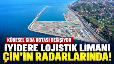 Çin'den Dünya Gıda Piyasasını Şekillendiren Hamle: ABD Yerine Brezilya, Malakka’ya