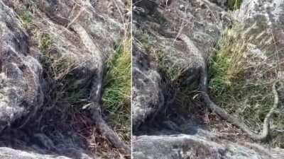 Aksaray'ın Gülağaç ilçesinde yürüyüşe çıkan Zekeriya Ilgın, Kayı Gölü kenarında