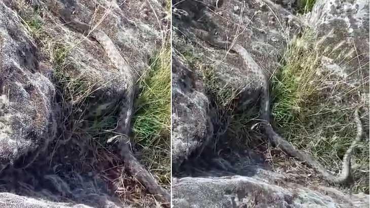 Aksaray'ın Gülağaç ilçesinde yürüyüşe çıkan Zekeriya Ilgın, Kayı Gölü kenarında