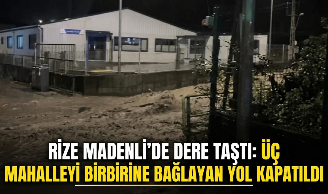 Rize'nin Madenli beldesinde derenin taşması sonucu üç mahalleye bağlanan ortak