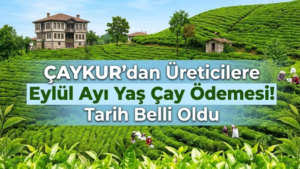 ÇAYKUR, 2026 yılı Eylül ayına ait yaş çay bedellerinin üretici