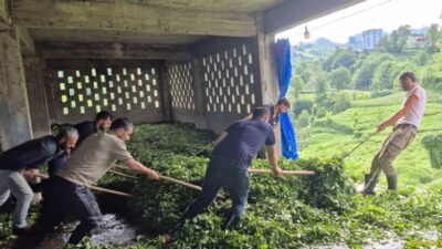 Rize İdare Mahkemesi, ÇAYKUR’un yaş çay yükleme ihalesinde aradığı ağır