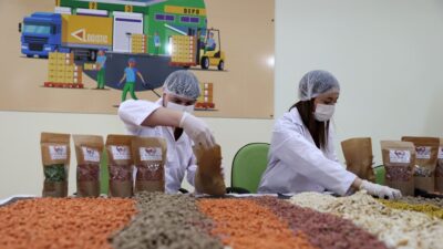 Türkiye'nin 74 ilinde toplanan yemek artıkları, günlük 31 bin kilogramı